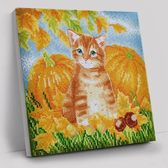 Craft Buddy "Autumn Cat" Crystal Art Canvas Kit 30x30cm New