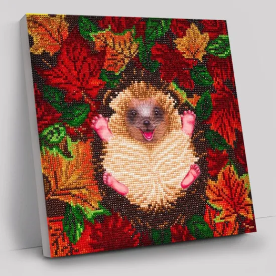 Craft Buddy "Autumn Hedgehog" Crystal Art Canvas Kit 30x30cm Best