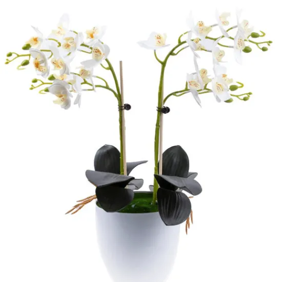Craft Buddy "Blossom" Forever Flowerz Orchid Collection x2 Fashion