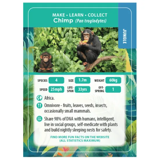 Craft Buddy Chimp Crystal Art Wildlife Buddies Sale
