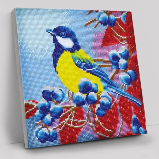 Craft Buddy "Christmas Bird" Crystal Art Canvas Kit 30x30cm Best