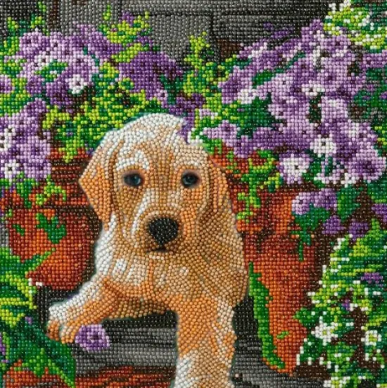 Craft Buddy "Floral Pup" Crystal Art Canvas Kit 30x30cm Online