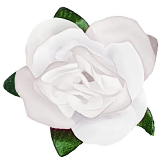 Craft Buddy Flower Making Kit - Romantic Roses Discount