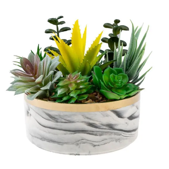 Craft Buddy Forever Flowerz Ceramic pot and Succulents Kit New