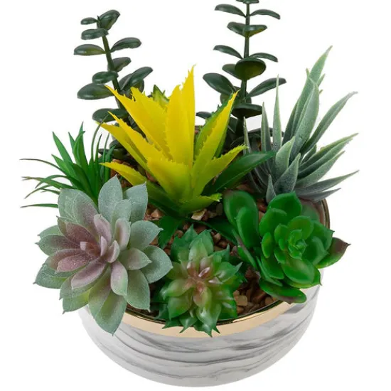 Craft Buddy Forever Flowerz Ceramic pot and Succulents Kit New