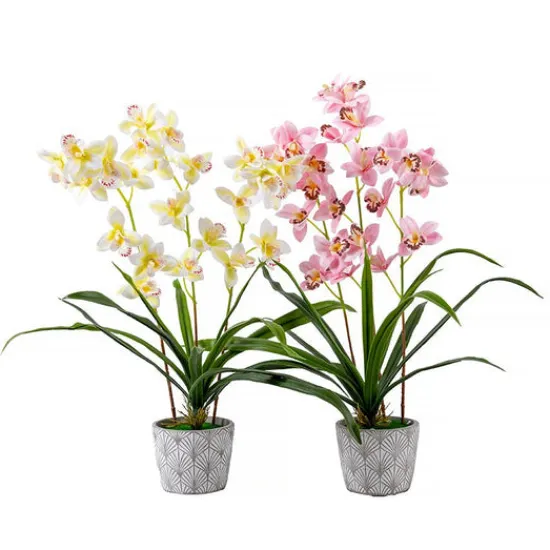 Craft Buddy Forever Flowerz Cymbidium Orchid Kit - Pink and White Sale