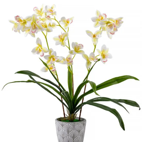 Craft Buddy Forever Flowerz Cymbidium Orchid Kit - Pink and White Sale
