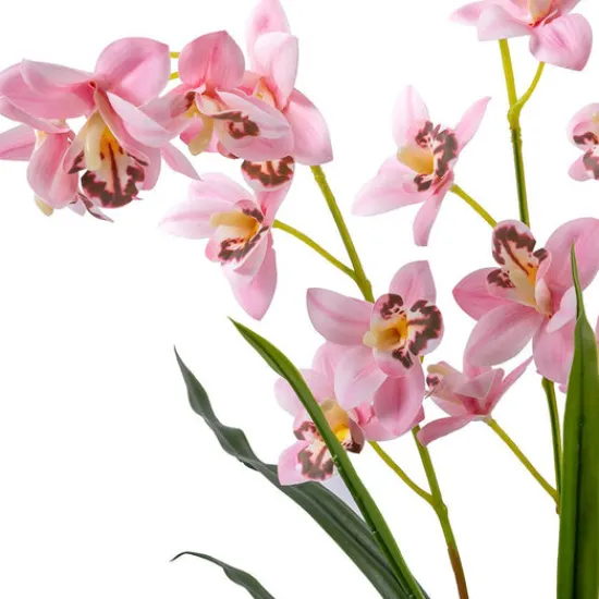 Craft Buddy Forever Flowerz Cymbidium Orchid Kit - Pink and White Sale