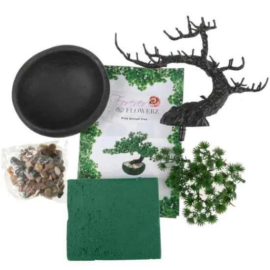 Craft Buddy Forever Flowerz Pine Bonsai Tree Kit Online