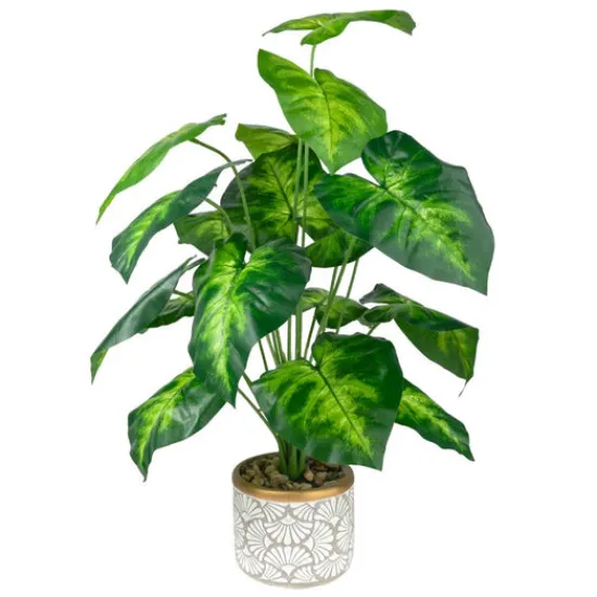 Craft Buddy Forever Flowerz Taro Plant Kit - Green/White Clearance