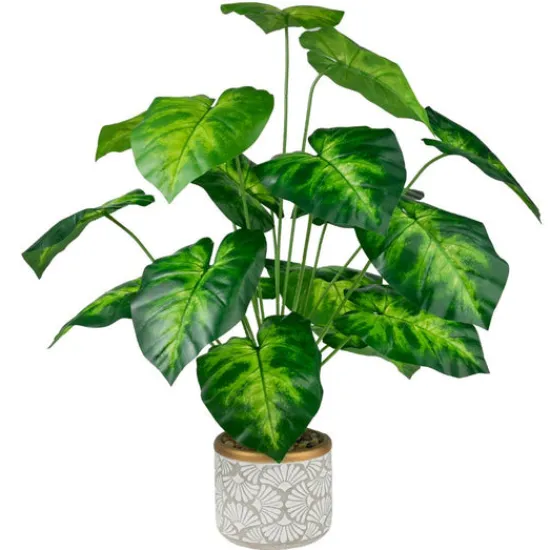 Craft Buddy Forever Flowerz Taro Plant Kit - Green/White Clearance