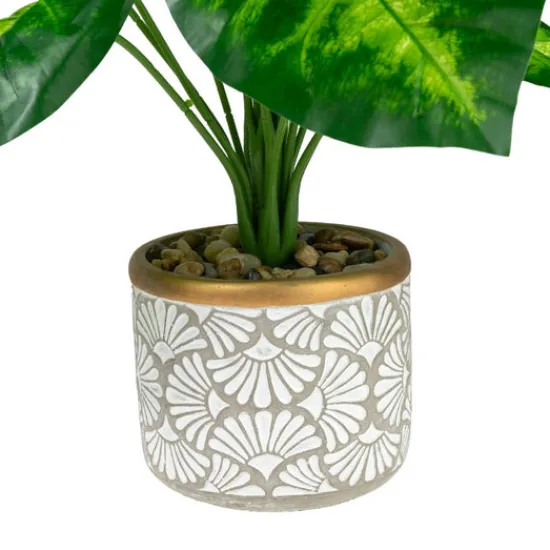 Craft Buddy Forever Flowerz Taro Plant Kit - Green/White Clearance