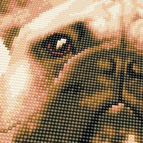 Craft Buddy "French Bull Dog Face" Crystal Art 30x30cm Cushion Kit Clearance