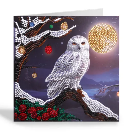Craft Buddy "Frosted Moon" Crystal Art Card 18x18cm Clearance