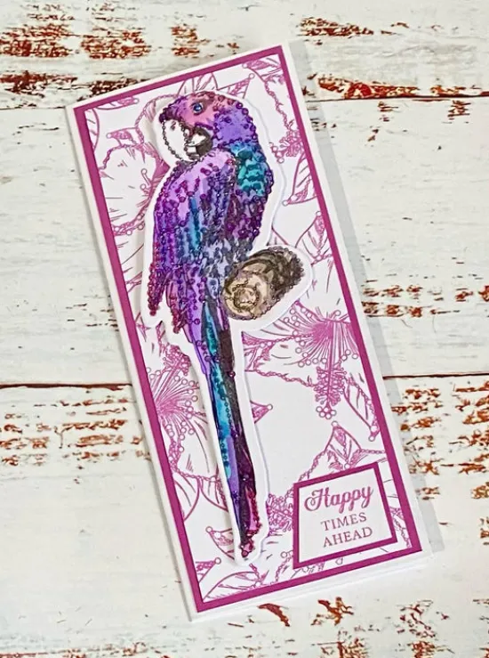 Craft Buddy GS13: Gem It! Parrot Paradise A5 Clear Stamp Set Outlet
