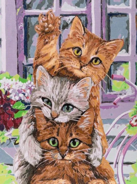 Craft Buddy "Hello Kittens" Paint by Numb3rs 30x40cm Framed Kit Fashion
