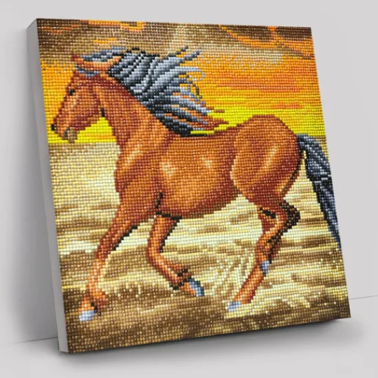 Craft Buddy "Horse on the Run" Crystal Art Canvas Kit 30x30cm New
