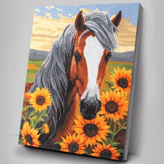 Craft Buddy "Horse With Sunflowers" Crystal Art Canvas Kit 40x50cm Outlet