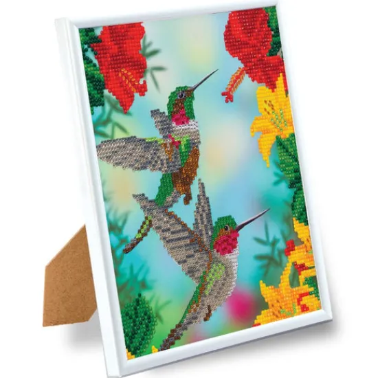 Craft Buddy "Hungry Hummingbirds" Crystal Art Framed Kit 21x25cm Best