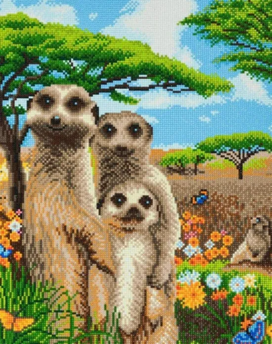 Craft Buddy "Meerkat Family" Crystal Art Canvas Kit 40x50cm New