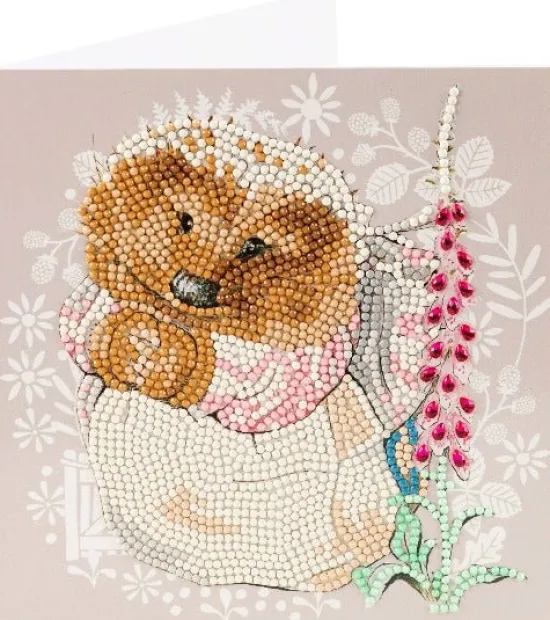 Craft Buddy "Mrs. Tiggy-Winkle" Crystal Art Card 18x18cm Outlet