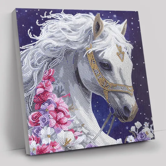 Craft Buddy "Mystic Beauty" Crystal Art Canvas Kit 30x30cm Best
