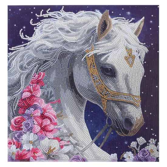 Craft Buddy "Mystic Beauty" Crystal Art Canvas Kit 30x30cm Best