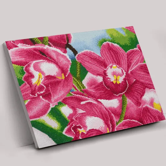 Craft Buddy 'Petals in Pink' Crystal Art Canvas 40x50cm Clearance