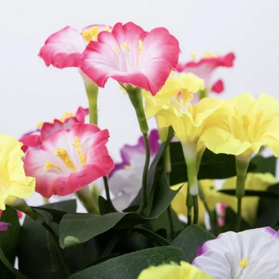 Craft Buddy "Pretty Petunias" Forever Flowerz with stems and leaves Hot