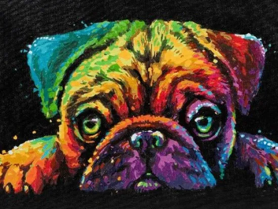 Craft Buddy "Pup's Dream" Paint by Numb3rs Framed Kit 30x40cm Discount