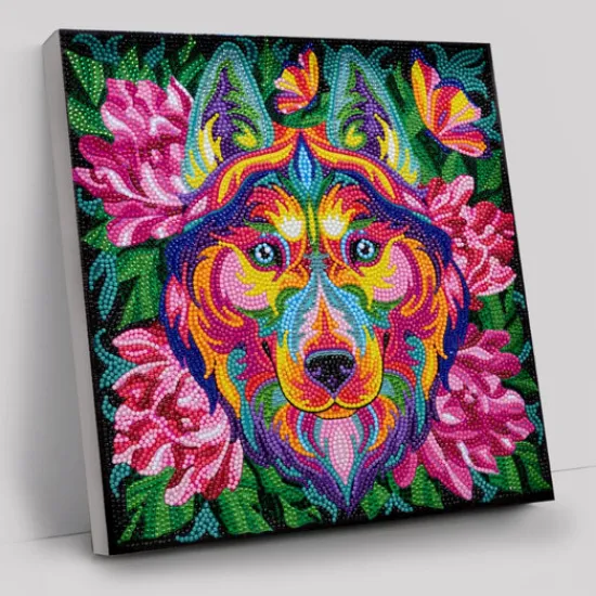 Craft Buddy "Rainbow Husky" Crystal Art Canvas 30x30cm Fashion