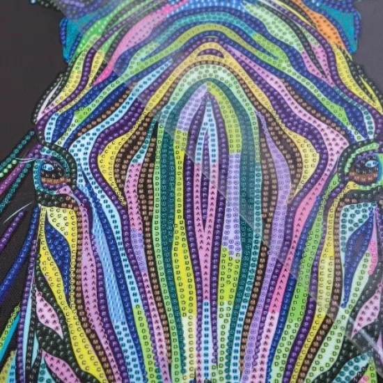 Craft Buddy "Rainbow Zebra" Crystal Art Canvas Kit 40x50cm Clearance