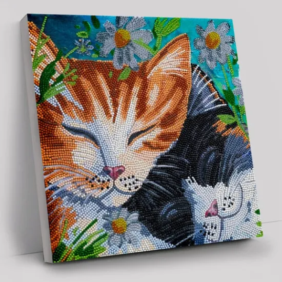 Craft Buddy "Sleepy Cats" Crystal Art Canvas Kit 30x30cm Clearance