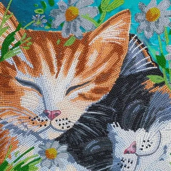 Craft Buddy "Sleepy Cats" Crystal Art Canvas Kit 30x30cm Clearance