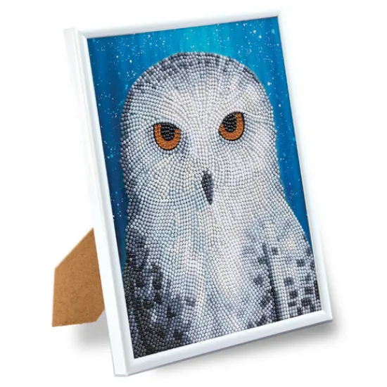 Craft Buddy "Snowy Owl by Night" by Rachel Froud Crystal Art Framed Kit 21x25cm Outlet