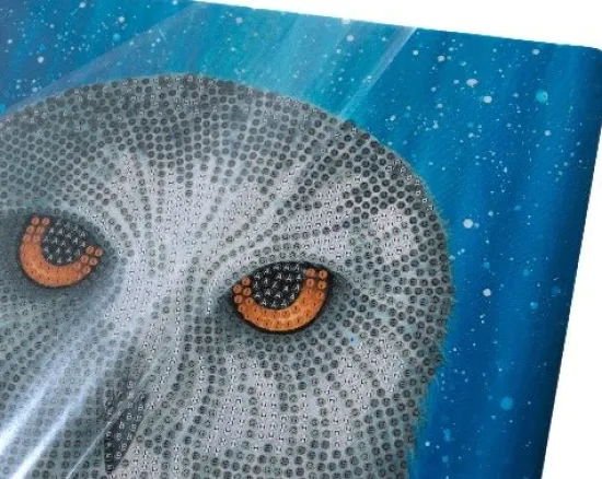 Craft Buddy "Snowy Owl by Night" by Rachel Froud Crystal Art Framed Kit 21x25cm Outlet