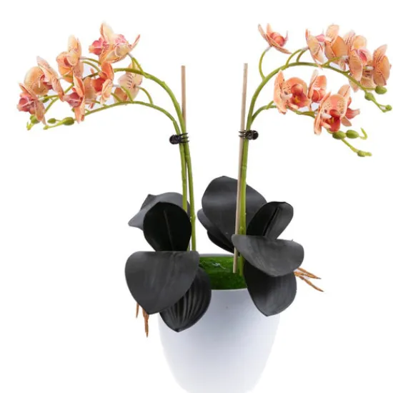 Craft Buddy "Sunrise" Forever Flowerz Orchid Collection x2 Discount