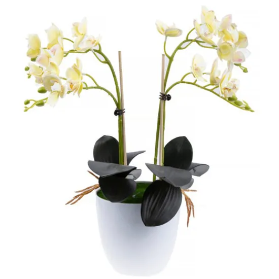 Craft Buddy "Sunrise" Forever Flowerz Orchid Collection x2 Discount