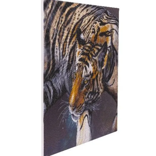 Craft Buddy "The Tiger" Crystal Art Canvas by Claudia Hahn 70x70cm Hot