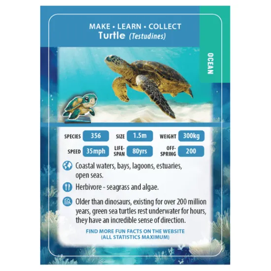 Craft Buddy Turtle Crystal Art Wildlife Buddies Best