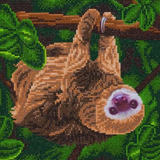 Craft Buddy "Two Toed Sloth" Crystal Art Canvas Kit 30x30cm Sale