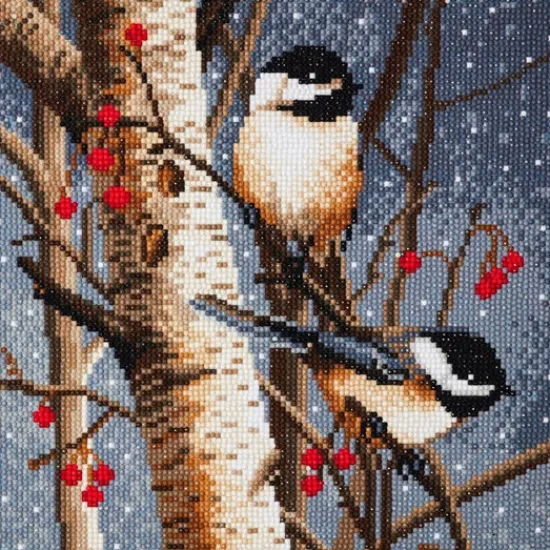 Craft Buddy "Woodland Sprites" Crystal Art Canvas Kit 30x30cm Sale